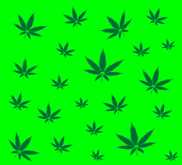 Cannabis hinterlässt Spuren - Vektor, Bild