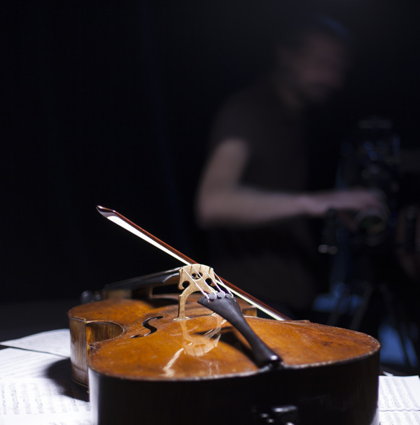 stringed musical instrument - Photo, Image