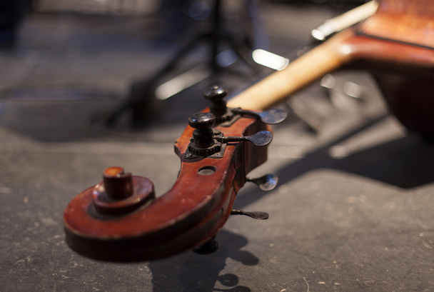 stringed musical instrument - Φωτογραφία, εικόνα