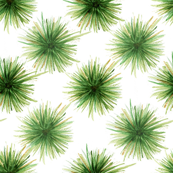 background spruce branches watercolor - Foto, Bild