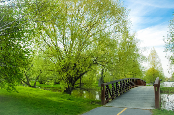 Dows Lake Park voetgangersbrug met lente in volle bloei. - Foto, afbeelding