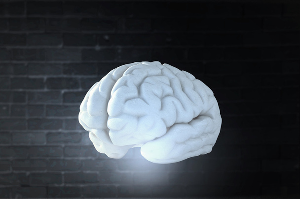 Obraz ludzkiego mózgu - Zdjęcie, obraz