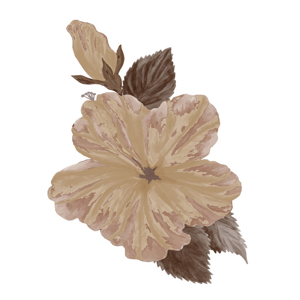 Fiore di ibisco vintage
. - Vettoriali, immagini