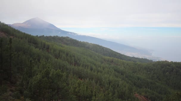 Borovice lesní údolí a hory v pozadí, Pico del Teide, Tenerife - Záběry, video