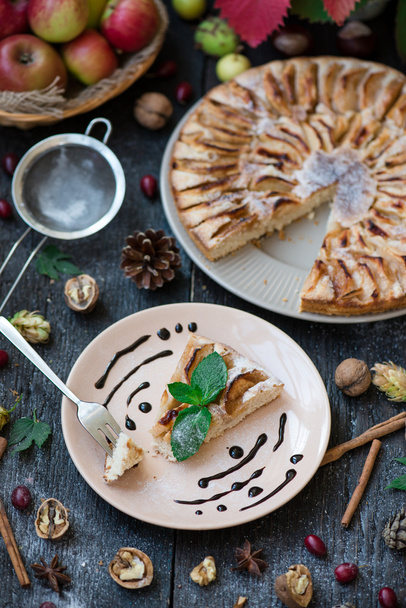 Slice of homemade apple pie with fresh apples - Φωτογραφία, εικόνα