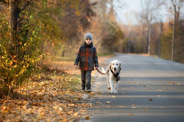 autumn walk with pet - Foto, Bild