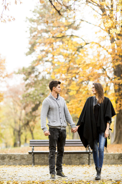 Couple in the autumn park - Valokuva, kuva