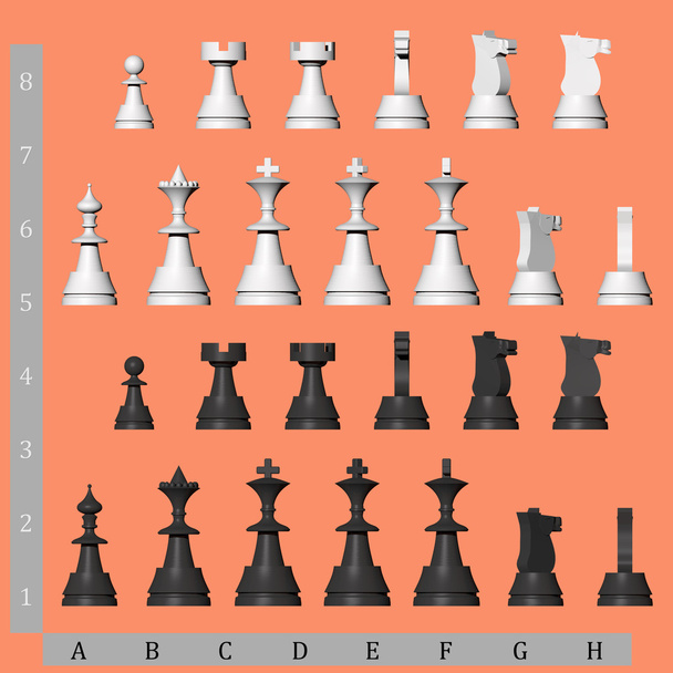 白と黒のチェスの駒 - 写真・画像