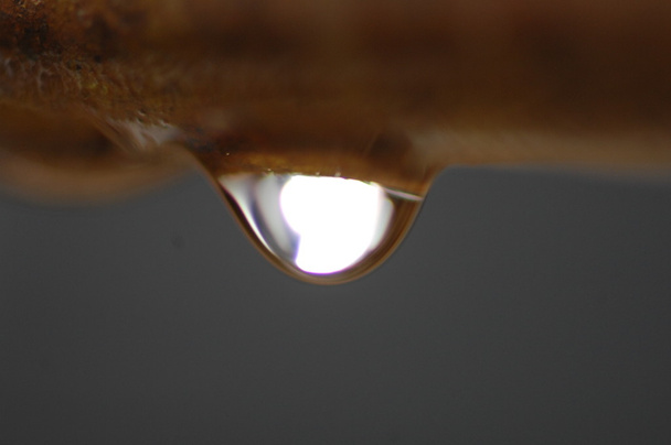gota de água de perto - Foto, Imagem