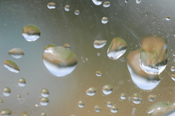 water drop close up - Photo, Image