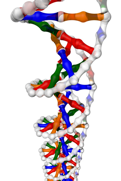 DNA-helix - Foto, afbeelding