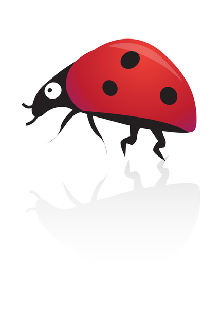 Ladybird vector - Vector, Image