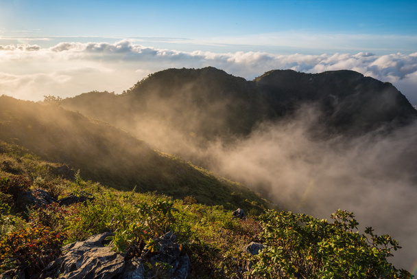 ομίχλη το πρωί στο βουνό στο Doi Luang Chiang Dao - Φωτογραφία, εικόνα