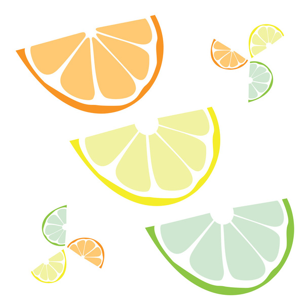 citrusové řezy vektor - Vektor, obrázek