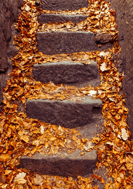 Merdiven ve sonbahar yaprakları - Fotoğraf, Görsel