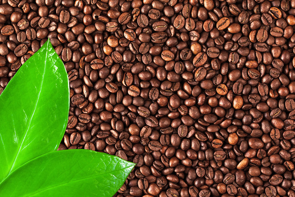 Green leaves on roasted coffee beans - Foto, afbeelding