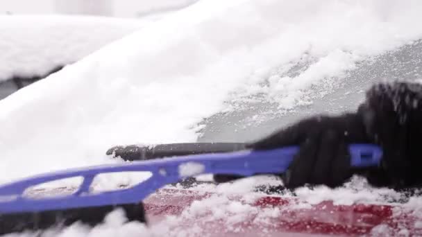 ο ιδιοκτήτης καθαρίζει το αυτοκίνητό του από το χιόνι. - Πλάνα, βίντεο