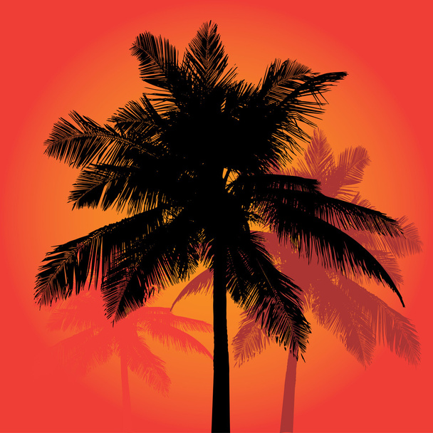 Palme Sonnenuntergang Silhouetten Vektor Trio - Vektor, Bild