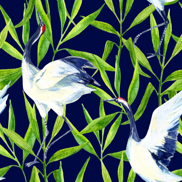 Akvarel asijské jeřáb pták bezešvé vzor - Fotografie, Obrázek