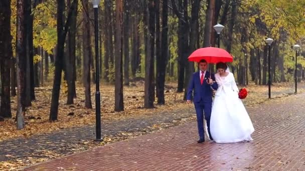 Pareja de boda sosteniendo paraguas rojo
 - Metraje, vídeo