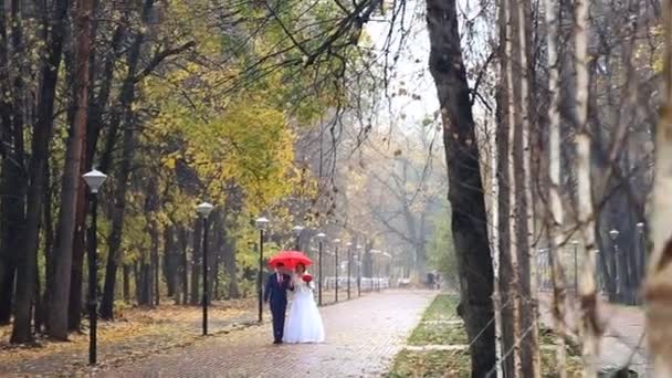 Весільна пара тримає червону парасольку
 - Кадри, відео