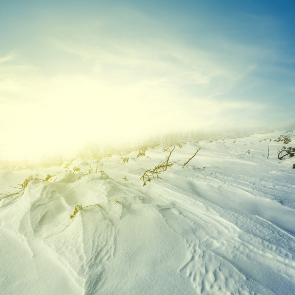 mount slope in a snow at the sunrise - Fotografie, Obrázek