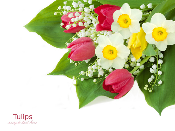 Tulpen und Narzissen Blütenstrauß isoliert auf weiß mit Beispieltext - Foto, Bild