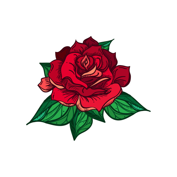Hand Drawn Wedding Rose - Vector, afbeelding