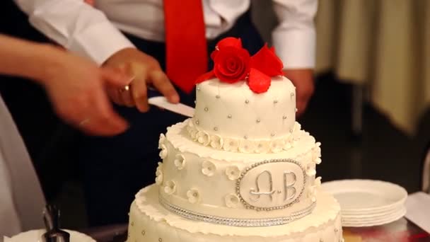 білий багаторівневий весільний торт
 - Кадри, відео