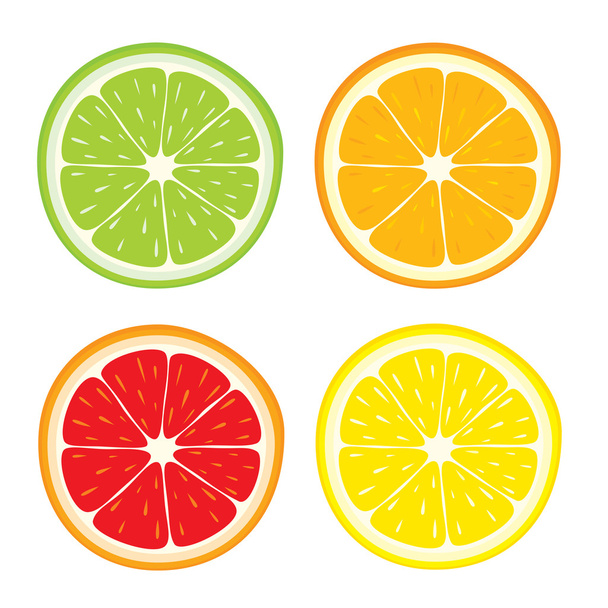 Vector set of lemon, orange, lime, grapefruit slices on white background. - Vector, Image