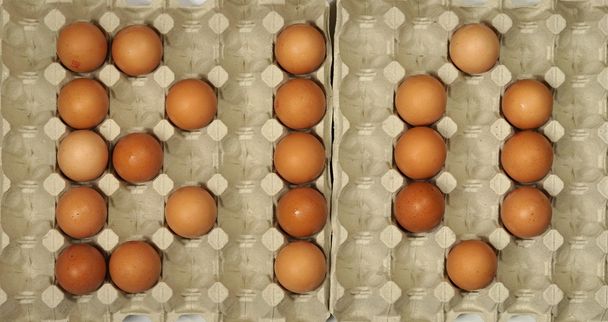 BIO Title Made of Eggs - Photo, Image