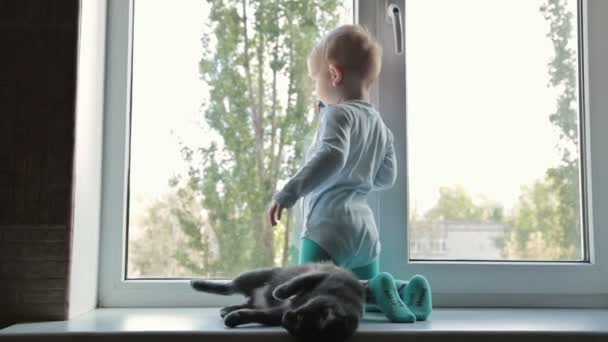 Niño pequeño con gato negro sentado cerca de la ventana en casa
 - Imágenes, Vídeo