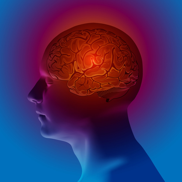 abstrakter menschlicher Kopf mit Gehirn. Vektorillustration - Vektor, Bild