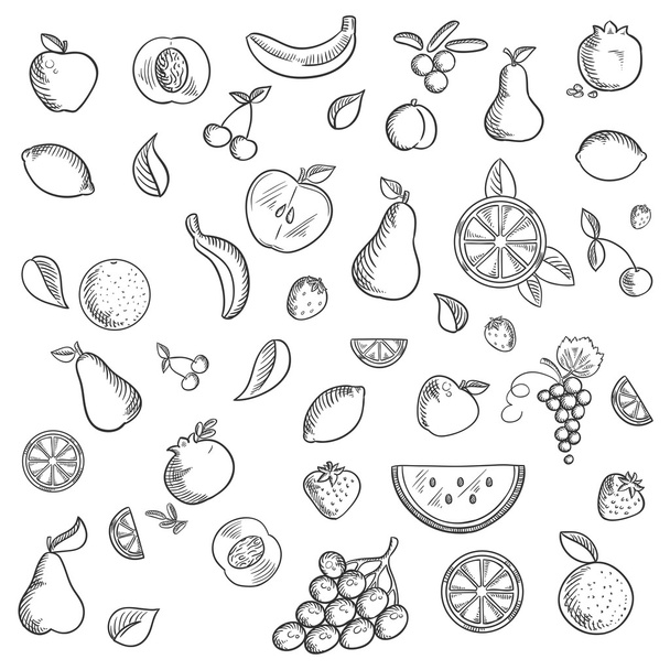 Früchte und Beeren skizzierte Symbole gesetzt - Vektor, Bild