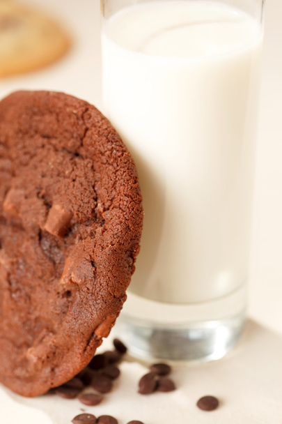Milk with cookie - Фото, зображення