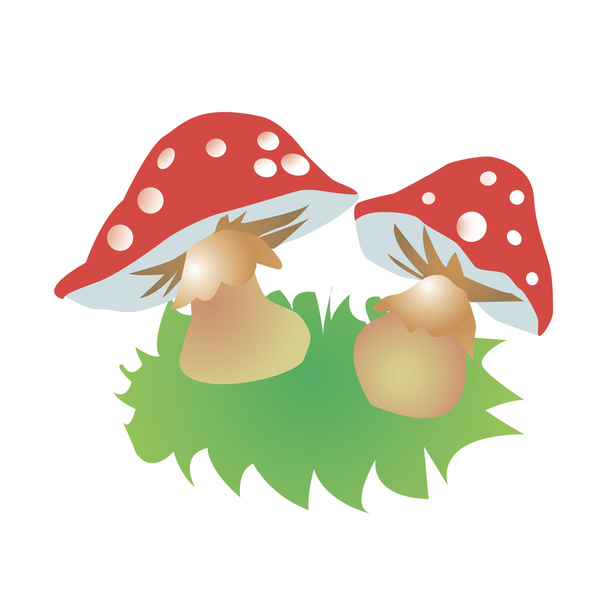 Красная грибная иллюстрация аманиты
 - Вектор,изображение