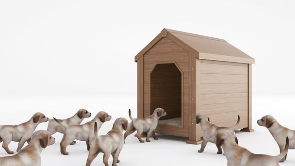dřevěný pes dům. koncept velikost psa domu - Fotografie, Obrázek