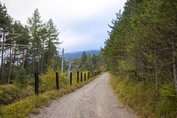 Грунтова дорога і гідро лінія в лісові площі - Фото, зображення