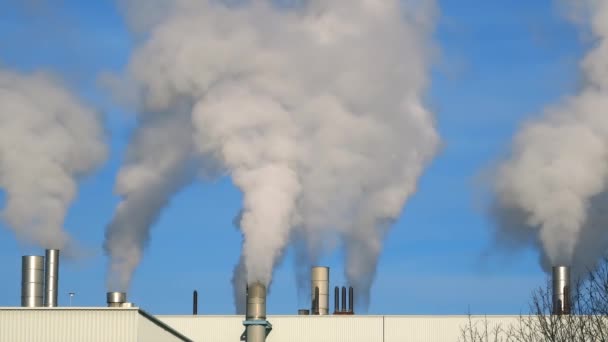 humo en el cielo azul, chimeneas industriales contaminación
 - Imágenes, Vídeo