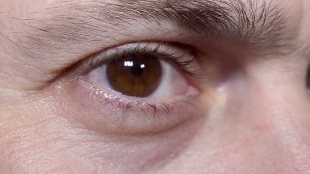 Bruine iemands ogen met zwarte wenkbrauwen - Video