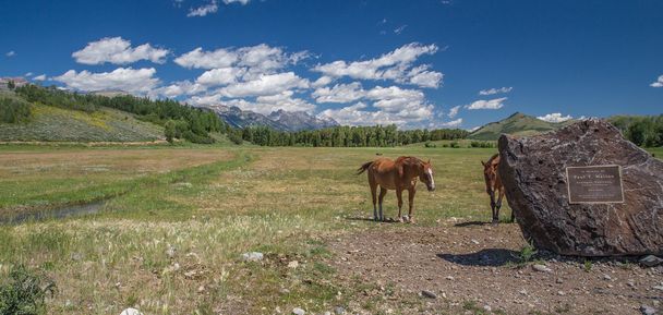 Cavalos em Wyoming
 - Foto, Imagem