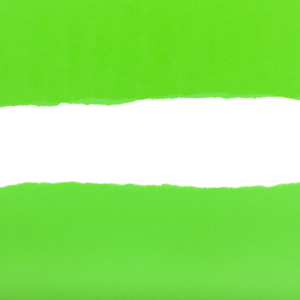 mitades divididas de la hoja de papel verde rasgado
 - Foto, Imagen