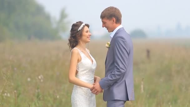 Hermosa pareja de boda está caminando en el campo verde
 - Metraje, vídeo