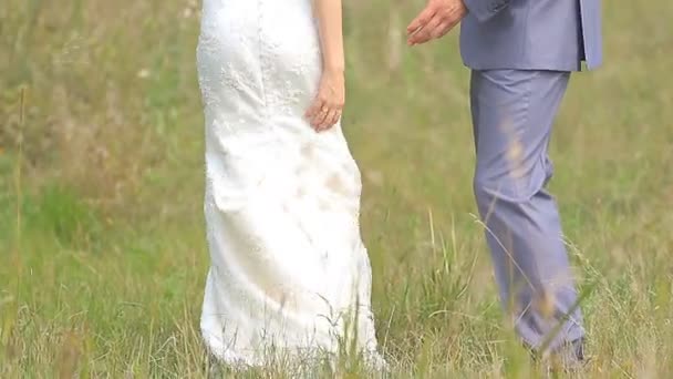Bella coppia di nozze sta camminando sul campo verde
 - Filmati, video