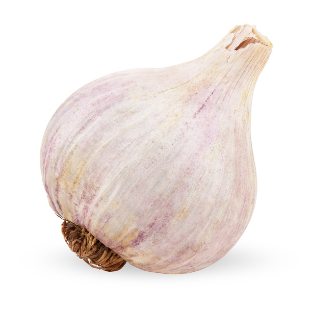 Garlic bulb isolated on white - Foto, Imagen