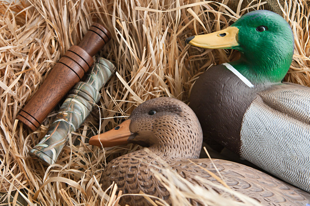 Duck decoy with stuffed and calls - Photo, Image
