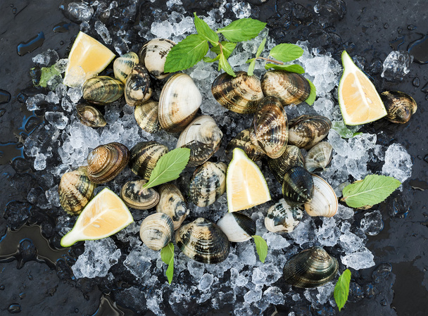 Fresh uncooked clams with lemon - Fotó, kép