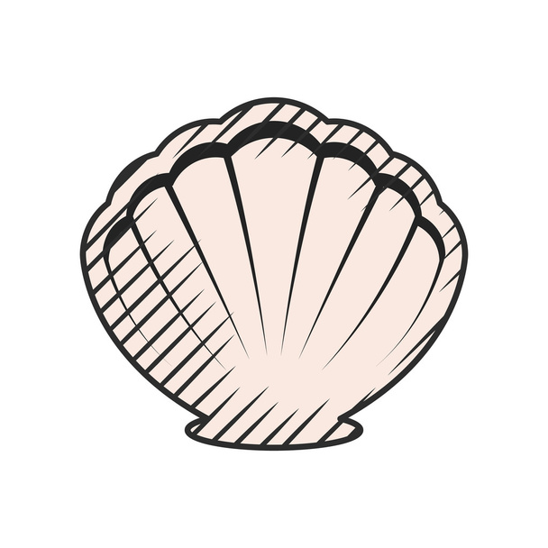 Shell ikon fehér háttér - Vektor, kép