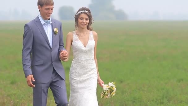 Piękny ślub para jest chodzenie na zielone pole - Materiał filmowy, wideo