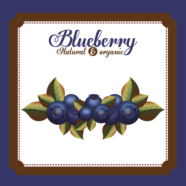 delicious blueberry design - Vector, Image
